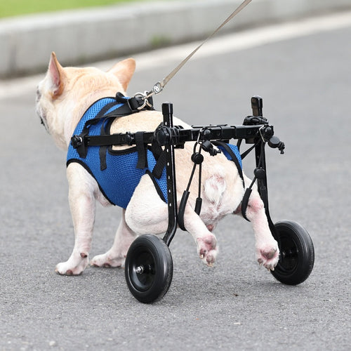 H&Paws adjustable dog wheelchair, rear support cart, blue