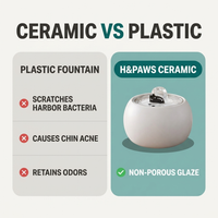 Ceramic vs plastic cat fountain comparison — H&Paws