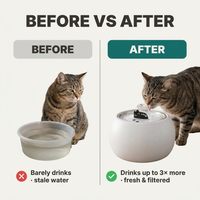 Before vs after — cats drink 3x more