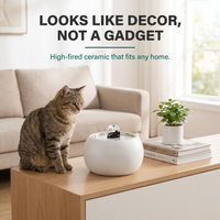 Looks like decor, not a gadget