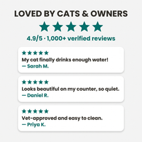 Loved by cats and owners — reviews