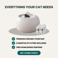 Everything your cat needs — offer